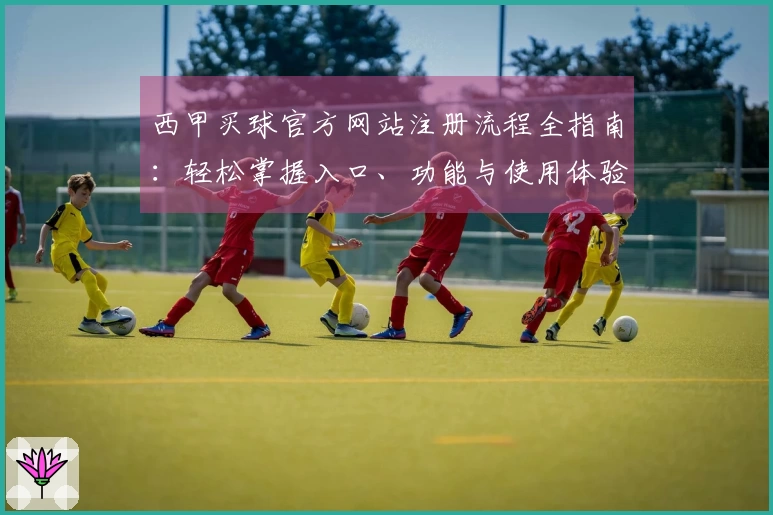 西甲买球官方网站注册流程全指南：轻松掌握入口、功能与使用体验